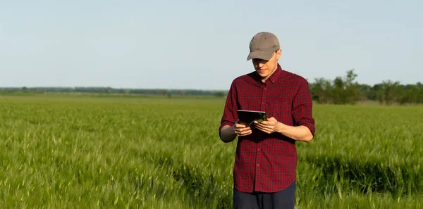 Agricultor Con Tableta Digital Campo Centeno Agricultura Inteligente Transformación Digital — Foto de Stock