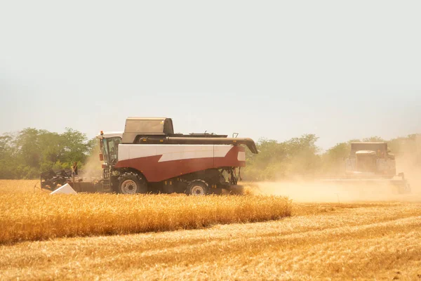 Combine Harvester Harvests Wheat High Quality Photo — Stock Photo, Image