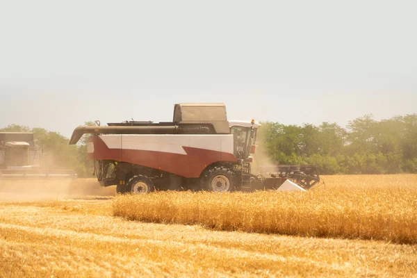 Combine Harvester Harvests Wheat High Quality Photo — Stock Photo, Image