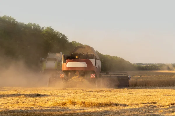 収穫小麦を組み合わせる 高品質の写真 — ストック写真