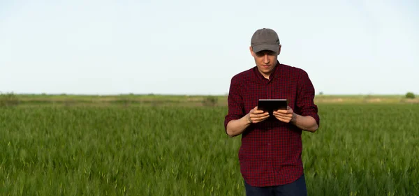 Boer Met Digitale Tablet Een Roggeveld Slimme Landbouw Digitale Transformatie — Stockfoto
