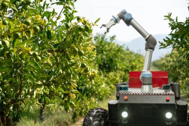 Autonomous robot harvester with robotic arm harvesting fruits on a smart farm. Concept. High quality photo clipart