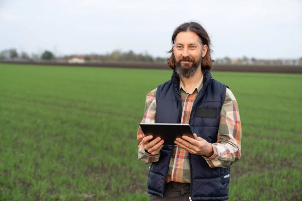 Boer Met Digitale Tablet Jonge Tarweveld Smart Farming Digitale Landbouw — Stockfoto