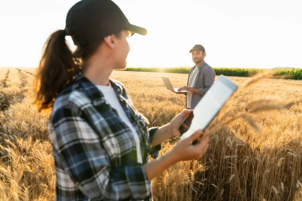Kilku Rolników Bada Pola Zbóż Przesyła Dane Chmury Tabletu Cyfrowego — Zdjęcie stockowe