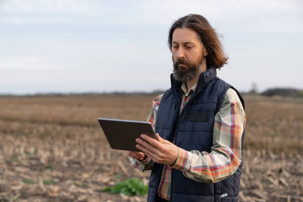 Agricultor Com Tablet Digital Campo Agrícola Agricultura Inteligente Agricultura Digital — Fotografia de Stock