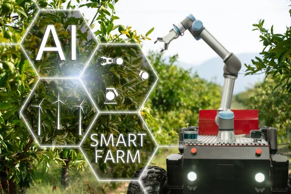 Autonomous Robot Harvester Robotic Arm Harvesting Fruits Smart Farm Concept — Stock Photo, Image