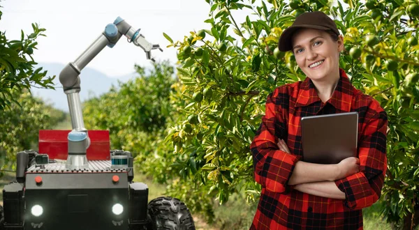 Agricoltore Controlla Mietitrebbia Robot Autonoma Con Raccolta Robotizzata Delle Mele — Foto Stock