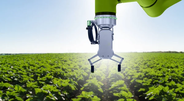 Robot Está Trabajando Campo Agrícola Agricultura Inteligente Agricultura Digital —  Fotos de Stock