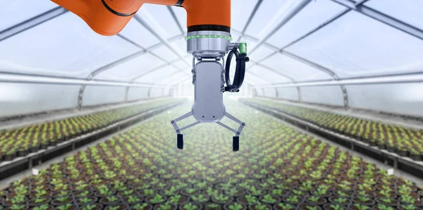Robot Arm Working Greenhouse Smart Farming Digital Agriculture — Foto Stock