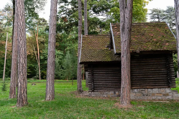 松林里的木房子 高质量的照片 — 图库照片