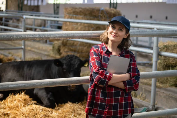 Woman farmer with tablet computer inspects cows at a dairy farm. Herd management.