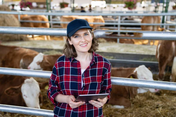 Mulher Agricultora Com Computador Tablet Inspeciona Vacas Uma Fazenda Laticínios — Fotografia de Stock