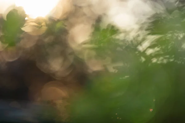 Размытый Естественный Зеленый Весенний Летний Боке Фон Высокое Качество Фото — стоковое фото