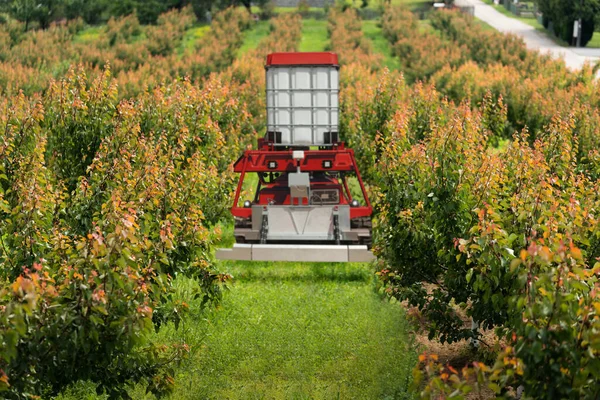 Autonomiczny Robot Opryskiwacz Pracuje Ogrodzie Owocowym Koncepcja Inteligentnego Rolnictwa — Zdjęcie stockowe