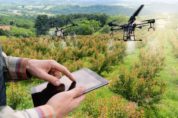 Farmer Controlla Spruzzatore Drone Con Tablet Agricoltura Intelligente Agricoltura Precisione — Foto Stock