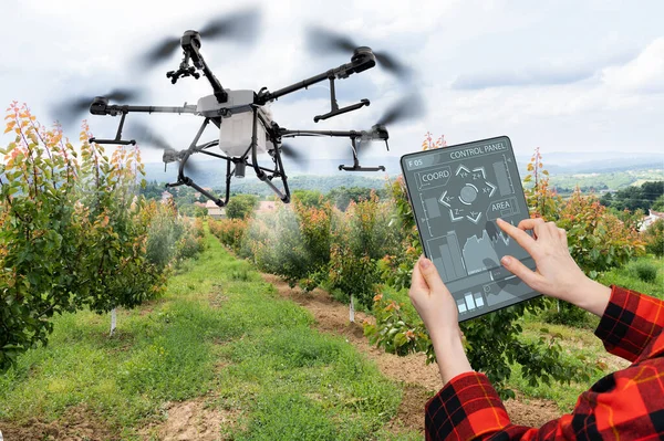 Landwirt Steuert Drohnen Sprayer Mit Tablet Smart Farming Und Präzisionslandwirtschaft — Stockfoto