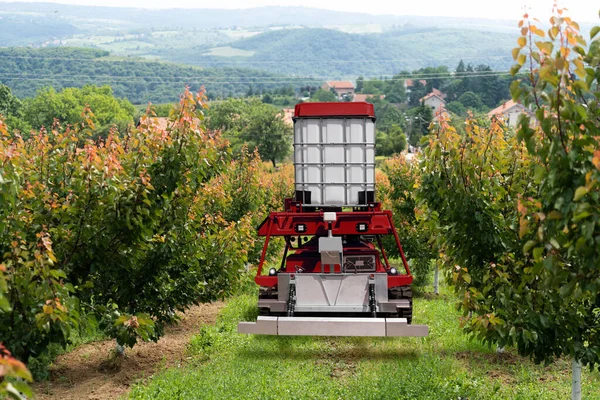 Pulverizador Robô Autônomo Funciona Jardim Frutas Conceito Agricultura Inteligente — Fotografia de Stock