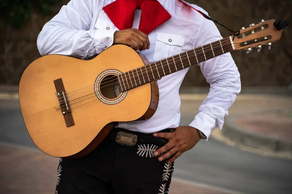 Müzisyen Bir Şehir Caddesinde Gitar Çalar — Stok fotoğraf