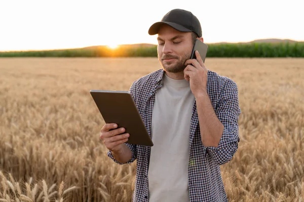 Agricultor Barbudo Com Celular Tablet Digital Campo Agrícola Pôr Sol — Fotografia de Stock