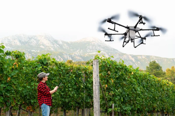 Bäuerin Steuert Drohnen Sprayer Mit Tablet Smart Farming Und Präzisionslandwirtschaft — Stockfoto
