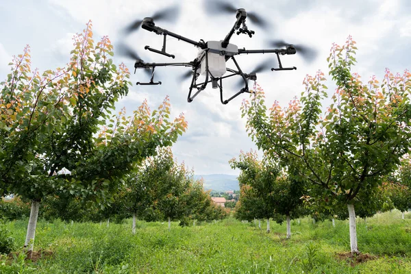 stock image Drone sprayer flies over apple trees. Smart farming and precision agriculture.