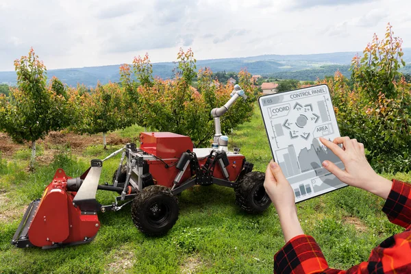 Farmer Controls Autonomous Robot Fruit Garden Smart Farming Concept — Stock Photo, Image