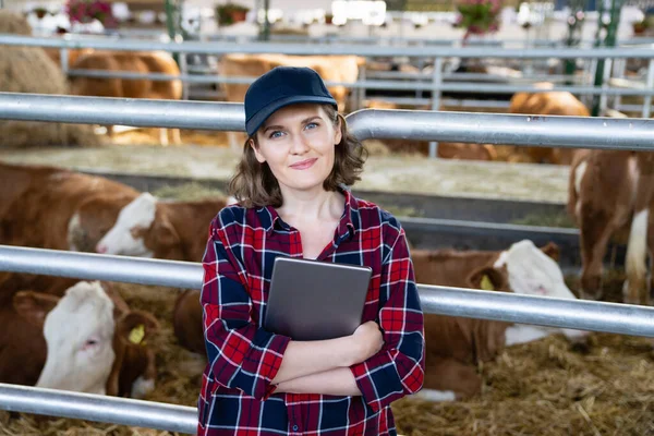 Mulher Agricultora Com Tablet Uma Fazenda Laticínios Gestão Dos Efectivos — Fotografia de Stock