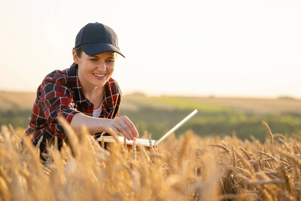 Une Agricultrice Travaillant Avec Ordinateur Portable Sur Champ Blé Agriculture — Photo