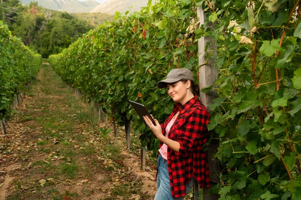 Женщина Фермер Осматривает Виноградник Отправляет Данные Облако Планшета Умное Сельское — стоковое фото