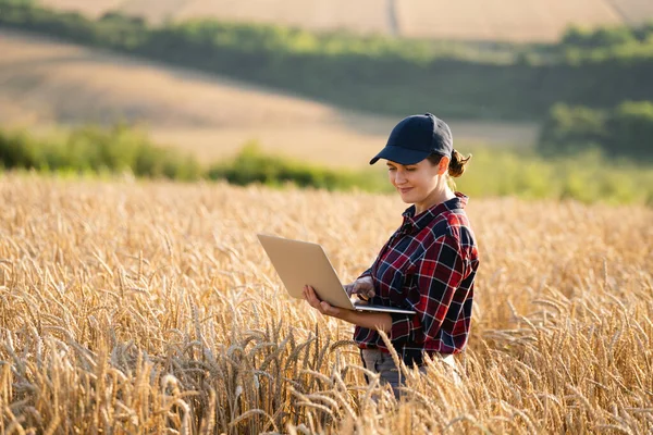 女农民在麦田里用笔记本电脑干活 智能农业和数字农业 — 图库照片
