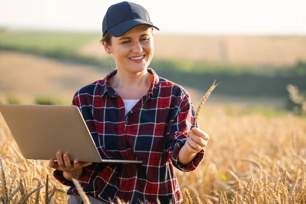 Kobieta Farmerka Pracująca Laptopem Polu Pszenicy Inteligentne Rolnictwo Rolnictwo Cyfrowe — Zdjęcie stockowe