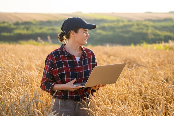 Woman Farmer Working Laptop Wheat Field Smart Farming Digital Agriculture — Stock Photo, Image