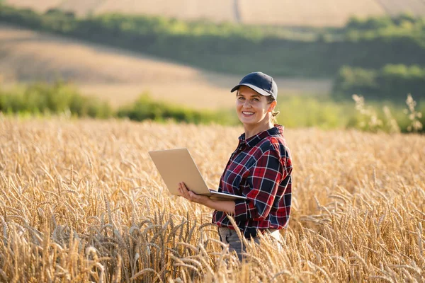 밭에서 노트북을 가지고 일하는 농부입니다 스마트 디지털 — 스톡 사진