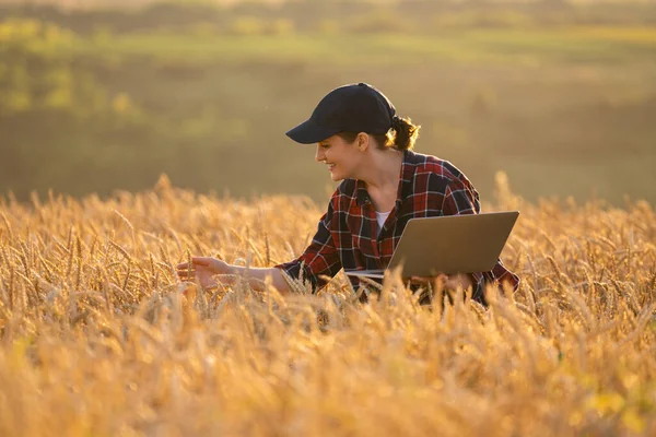 Contadina Che Lavora Con Computer Portatile Sul Campo Grano Agricoltura — Foto Stock