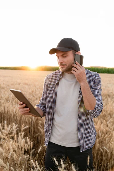 Agricultor Barbudo Com Celular Tablet Digital Campo Agrícola Pôr Sol — Fotografia de Stock
