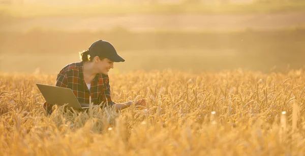 Жінка Фермер Працює Ноутбуком Пшеничному Полі Розумне Сільське Господарство Цифрове — стокове фото