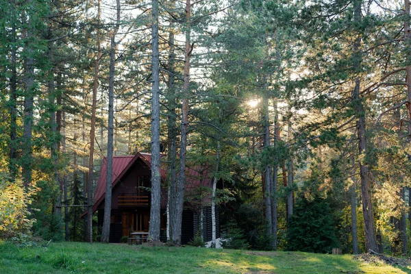 Wooden House Pine Forest Sunset — Stockfoto