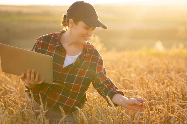 Mulher Agricultor Trabalhando Com Laptop Campo Trigo Agricultura Inteligente Agricultura — Fotografia de Stock