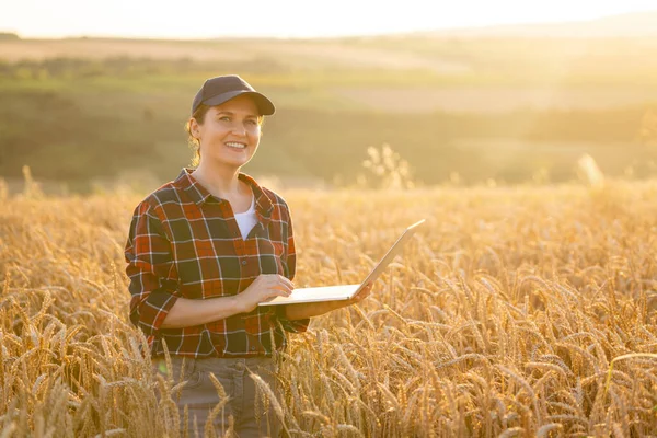 Farmářka Pracující Laptopem Pšeničném Poli Inteligentní Zemědělství Digitální Zemědělství — Stock fotografie