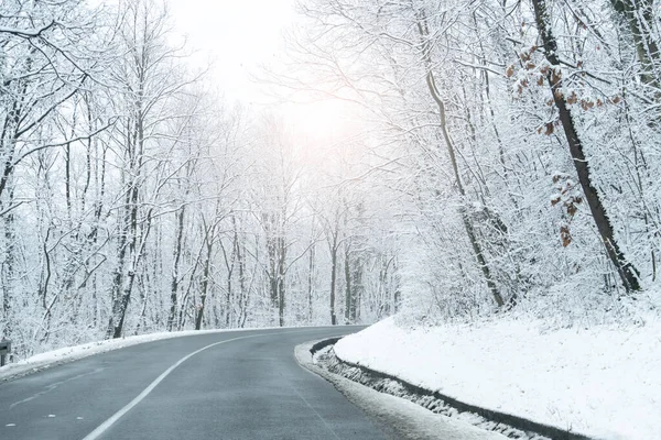 雪に覆われた木々や道路と冬の風景 — ストック写真