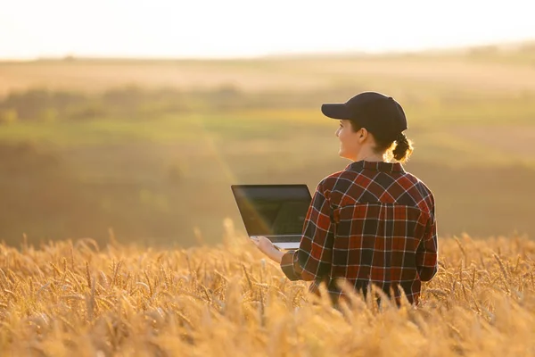 Жінка Фермер Працює Ноутбуком Пшеничному Полі Розумне Сільське Господарство Цифрове — стокове фото