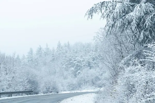Paisaje Invernal Con Árboles Cubiertos Nieve Carretera —  Fotos de Stock