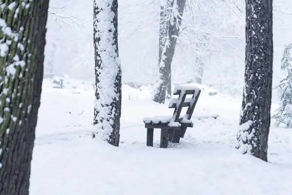 Kış Parkındaki Ahşap Bankta Kar Vardı — Stok fotoğraf