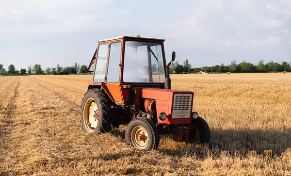 Piros Traktor Mezőgazdasági Területen — Stock Fotó