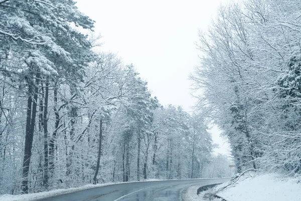 雪に覆われた木々や道路と冬の風景 — ストック写真