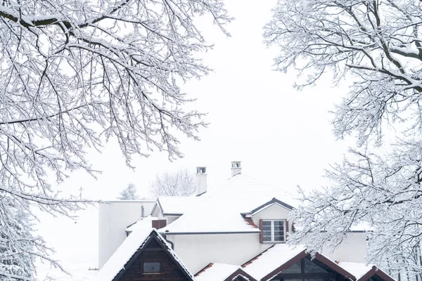Árvores Inverno Cobertas Neve Ficam Lado Casas — Fotografia de Stock