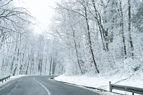 Peisaj Iarnă Copaci Acoperiți Zăpadă Drumuri — Fotografie, imagine de stoc