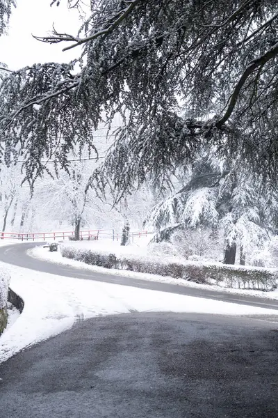 Winterlandschaft Mit Schneebedeckten Bäumen Und Straßen — Stockfoto