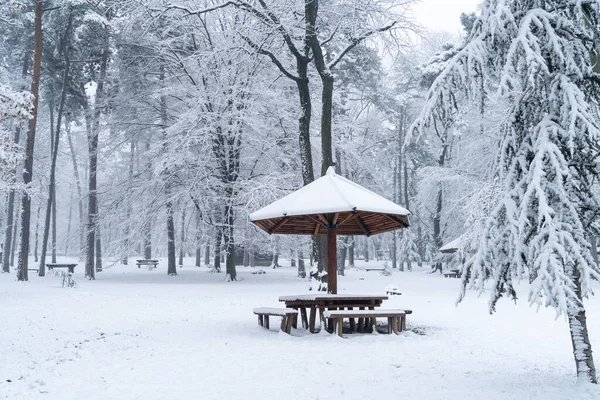 Kar Yağış Sırasında Kış Parkını Kapladı — Stok fotoğraf