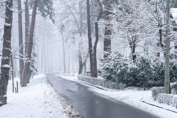 Vinterlandskap Med Snötäckta Träd Och Väg — Stockfoto